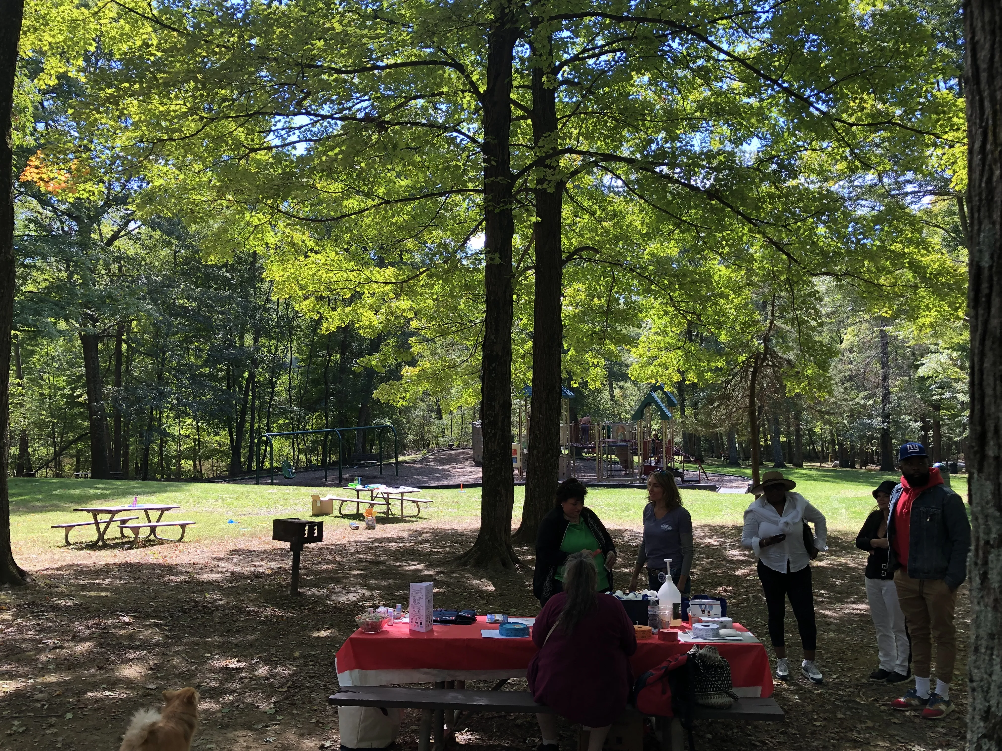 HVALF Family Fun Day 2022